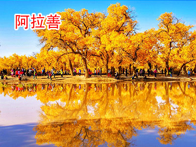 阿拉善旅游 阿拉善旅游