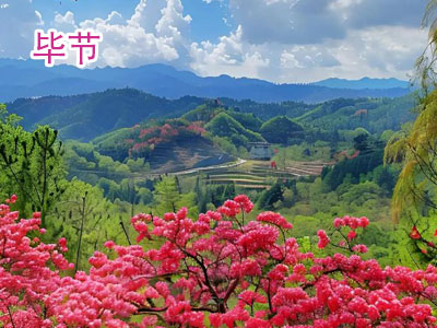 毕节旅游 毕节旅游