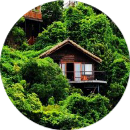 亚龙湾热带天堂森林公园