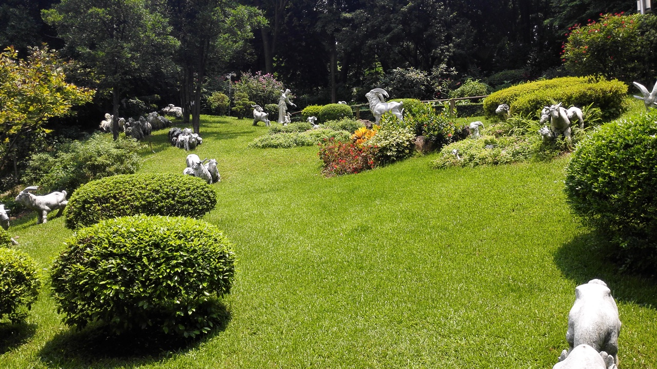 越秀公园羊之百态